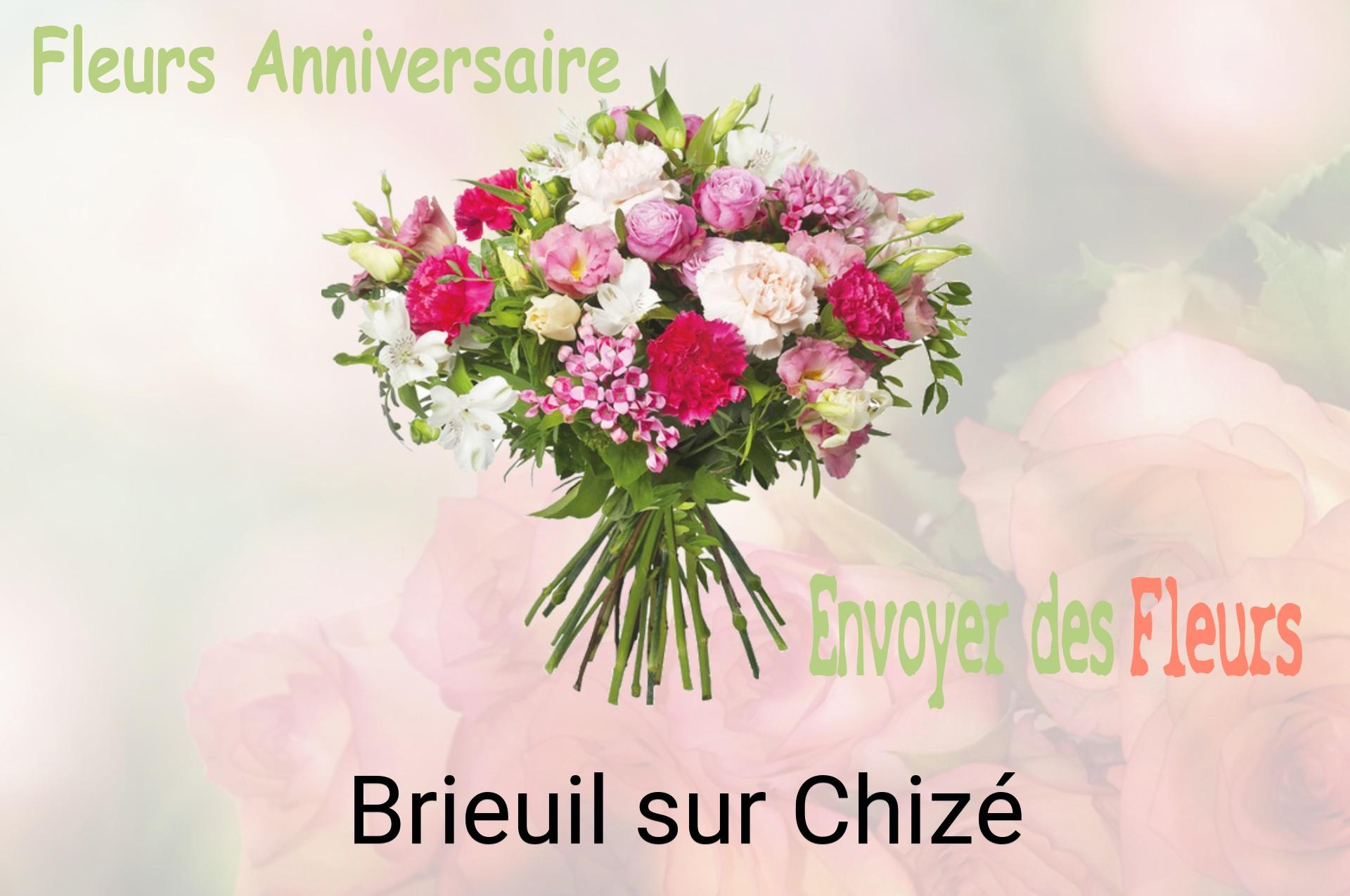 Bouquet de fleurs d’anniversaire livré à Brieuil-sur-Chizé