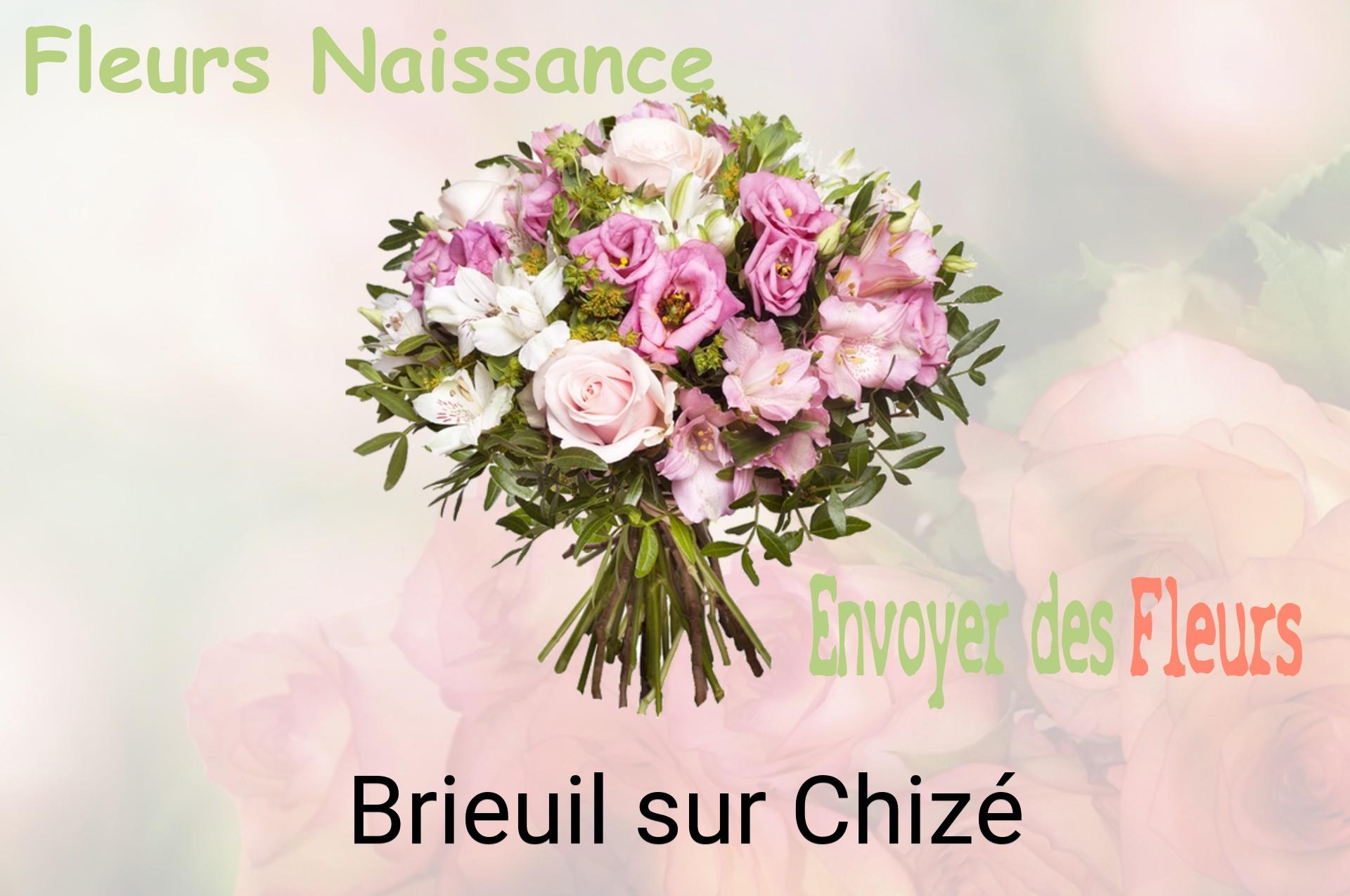 Bouquet de fleurs de naissance livré à Brieuil-sur-Chizé