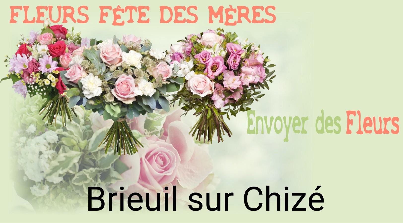 Bouquet de Fête des Mères livré à Brieuil-sur-Chizé